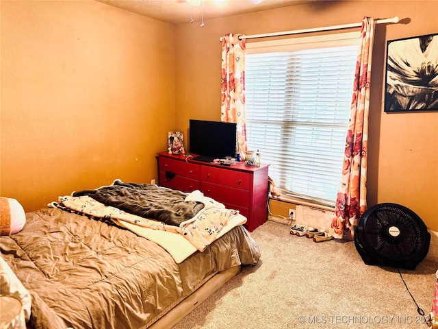 14009 S 295th E Ave, Coweta, OK 74429 - view of carpeted bedroom
