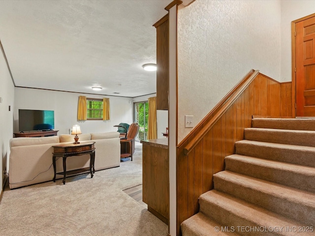 1800 SE Polaris Dr, Bartlesville, OK 74006 - stairway featuring carpet, wooden walls, and wainscoting