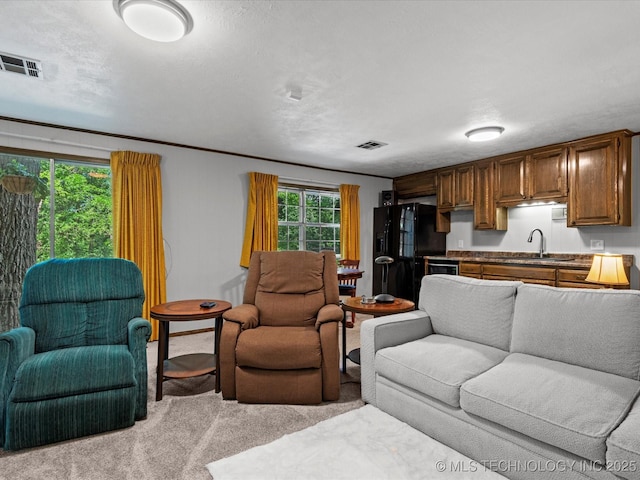 1800 SE Polaris Dr, Bartlesville, OK 74006 - carpeted living area with a sink