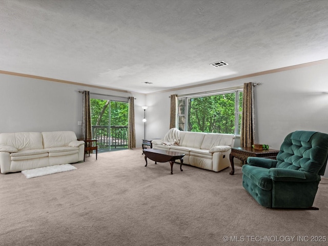 1800 SE Polaris Dr, Bartlesville, OK 74006 - living area with crown molding, carpet floors, plenty of natural light, and a textured ceiling