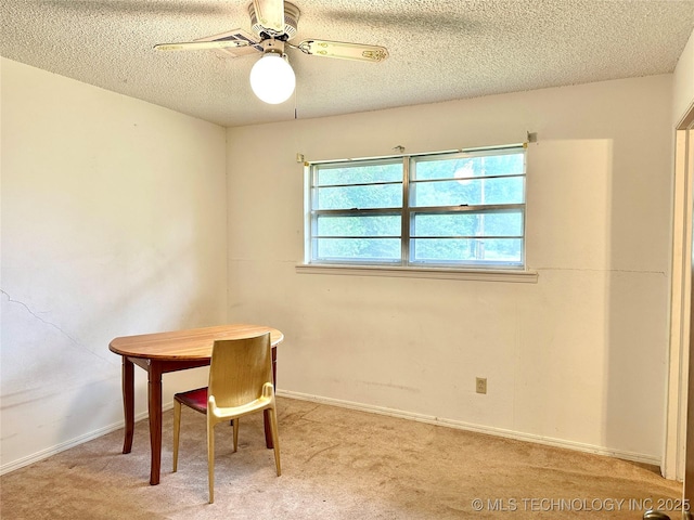 310 S New Bethel, Ada, OK 74820 - photo 24