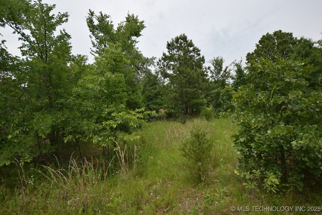 1 4503rd Rd, Vian, OK 74962