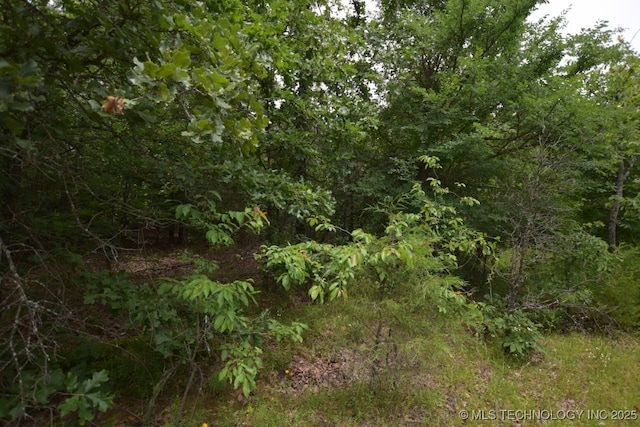 1 4503rd Rd, Vian, OK 74962