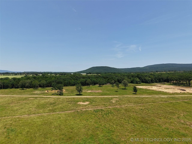 Morris Crk, Heavener, OK 74937 - photo 4