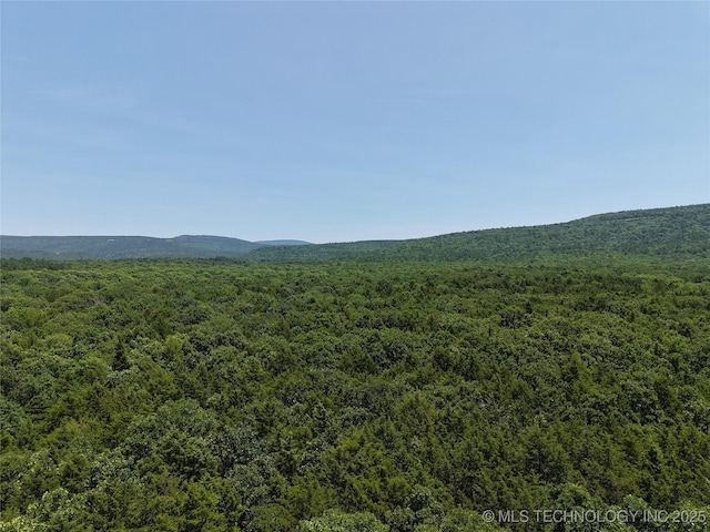 Morris Crk, Heavener, OK 74937 - photo 6