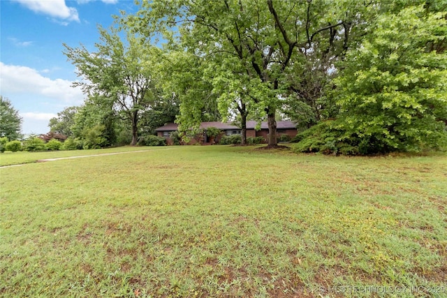 2506 Haskell Blvd, Muskogee, OK 74403 - view of green lawn