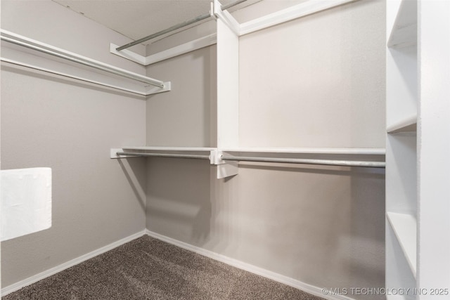 1802 S Fir Pl, Broken Arrow, OK 74012 - walk in closet with carpet flooring