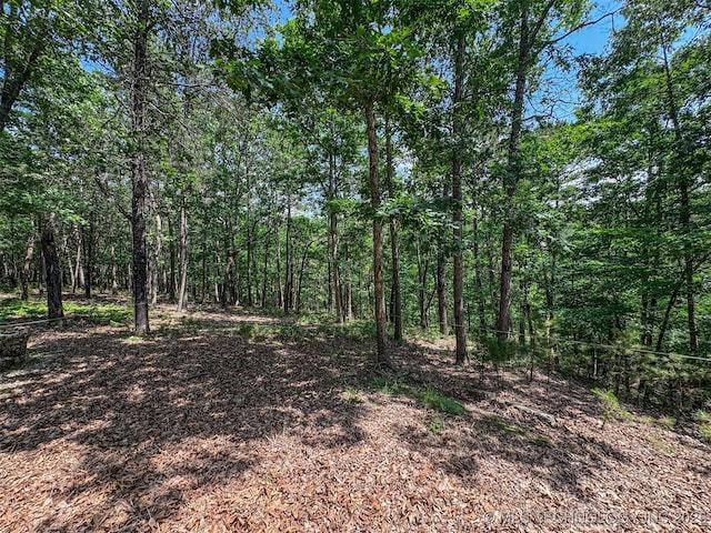 2064 Cave Creek Ct, Kansas, OK 74347 - view of wooded area