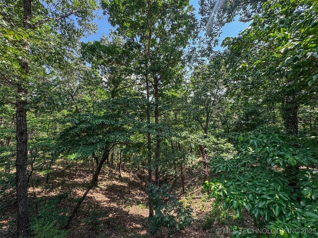 2064 Cave Creek Ct, Kansas, OK 74347 - view of local wilderness