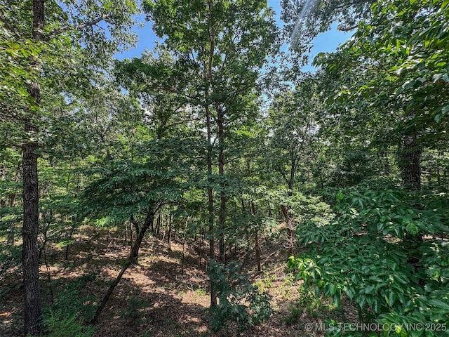 2064 Cave Creek Ct, Kansas, OK 74347 - photo 76