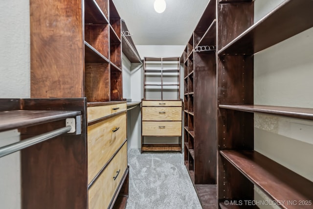 8602 S 91st E Ave, Tulsa, OK 74133 - walk in closet featuring carpet floors
