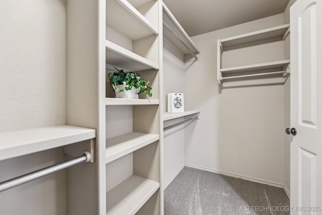 3012 W Mobile St, Broken Arrow, OK 74011 - walk in closet featuring carpet