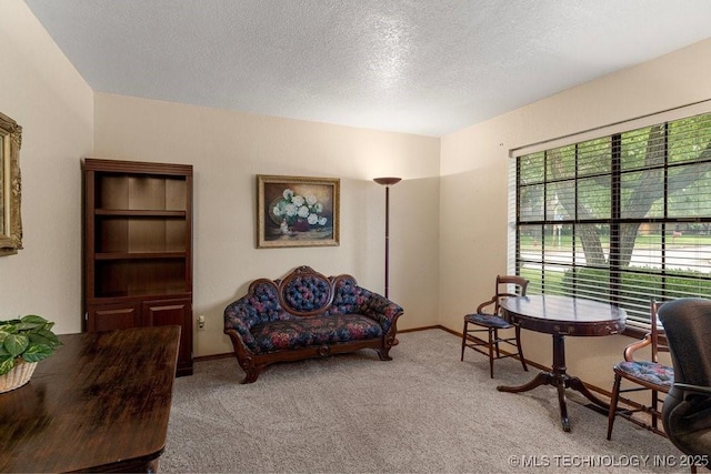 2612 W Quincy St, Broken Arrow, OK 74012 - carpeted living room featuring a textured ceiling