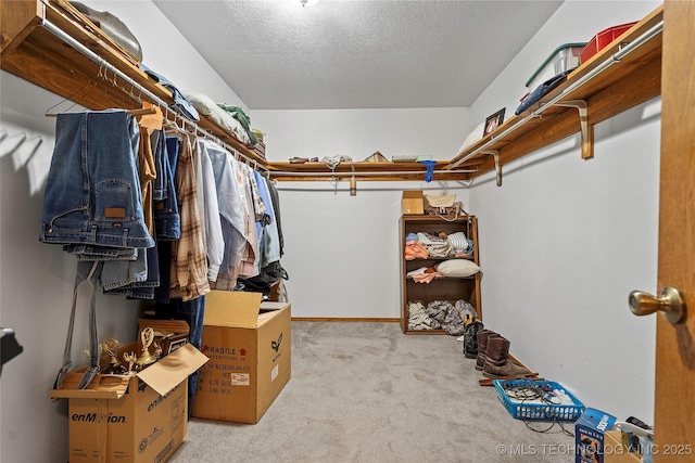 3419 State Highway 199, Dickson, OK 73401 - walk in closet featuring carpet floors