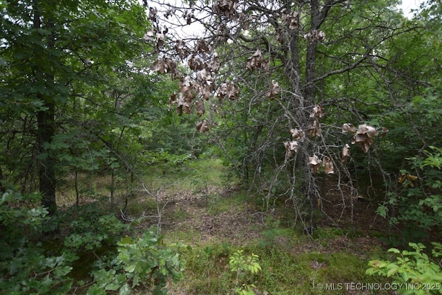 2 4503rd Rd, Vian, OK 74962