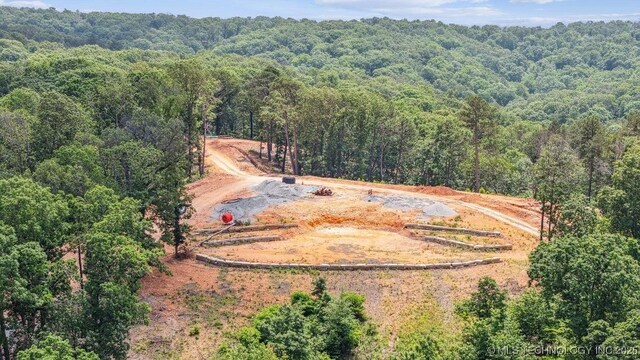 60 225th Rd, Wyandotte, OK 74370 - photo 7