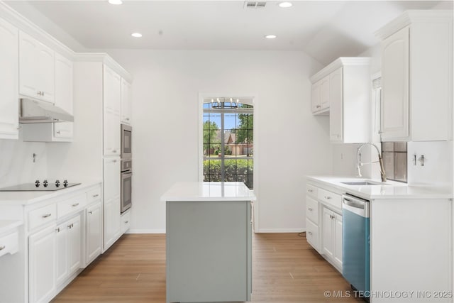 4204 W Freeport St, Broken Arrow, OK 74012 - kitchen with a sink, stainless steel appliances, under cabinet range hood, light wood-type flooring, and recessed lighting