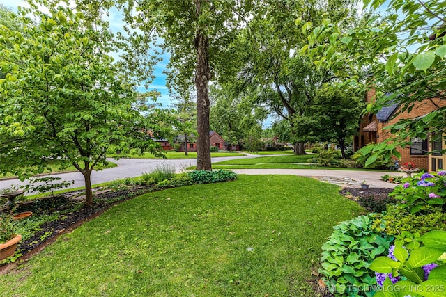 3160 S Owasso Ave, Tulsa, OK 74105 - view of grassy yard