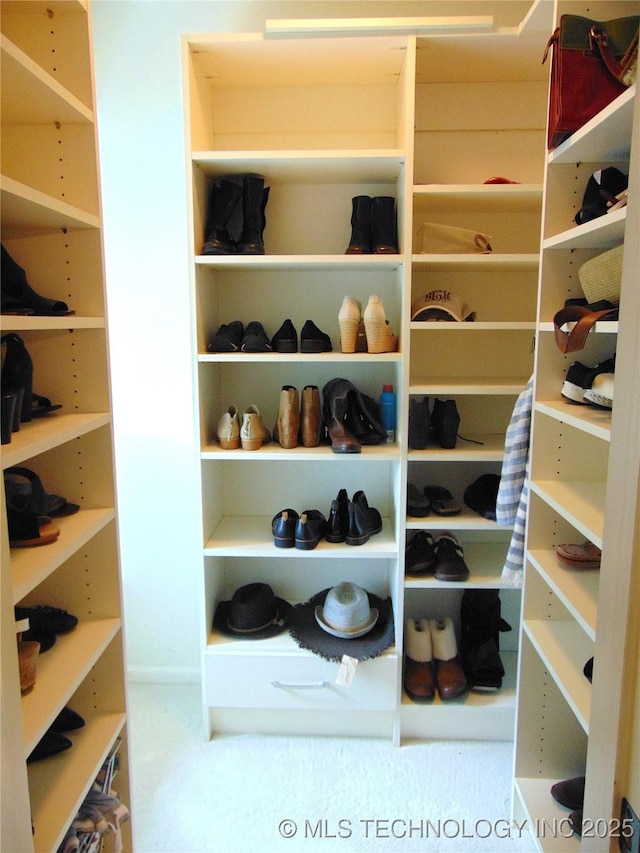 2619 E 47th St, Tulsa, OK 74105 - view of spacious closet