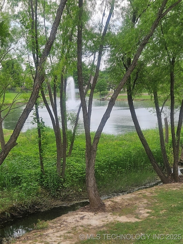 3805 S Tamarack Ave, Broken Arrow, OK 74011 - water view