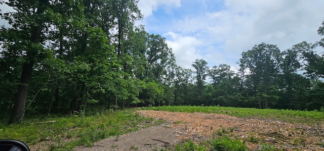 29855 S 585th Rd, Bunch, OK 74931 - photo 4