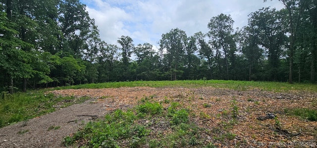 29855 S 585th Rd, Bunch, OK 74931 - photo 5