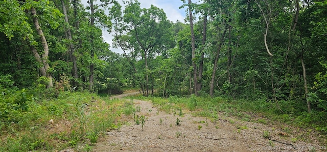 29855 S 585th Rd, Bunch, OK 74931 - photo 6