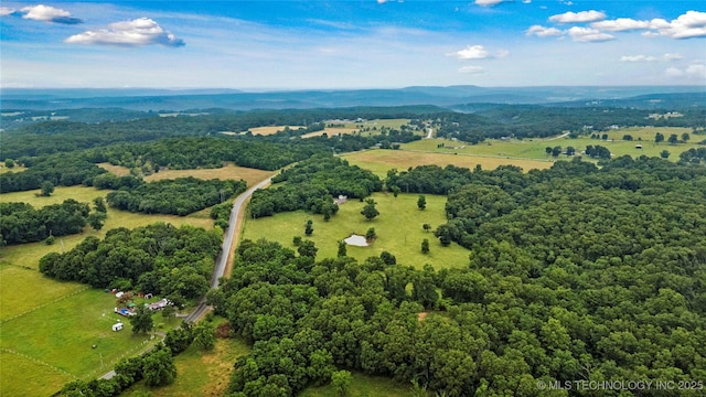 29855 S 585th Rd, Bunch, OK 74931 - photo 8