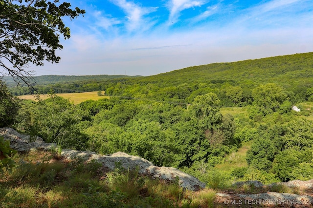 54 N Rodgers St, Vian, OK 74962