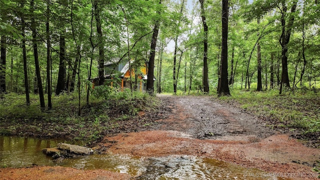 4396 E Cheadle Rd, Milburn, OK 73450 - view of yard with a forest view