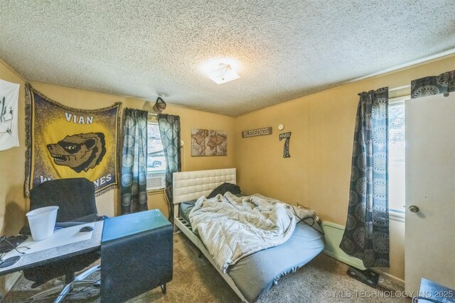 901 S Cherokee St, Vian, OK 74962 - photo 12