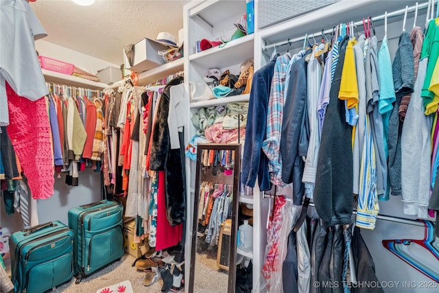 8713 S 77th E Ave, Tulsa, OK 74133 - spacious closet featuring carpet flooring