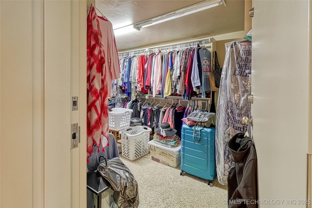 124 Walnut Rdg, Eufaula, OK 74432 - walk in closet featuring carpet flooring