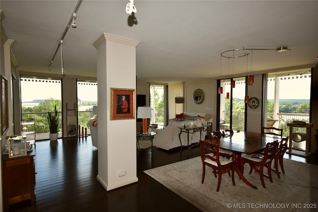 2300 Riverside Dr Unit 5E, Tulsa, OK 74114 - dining room featuring track lighting, dark wood-style flooring, and healthy amount of natural light