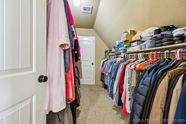 16425 E 49th St, Tulsa, OK 74134 - spacious closet with carpet and lofted ceiling