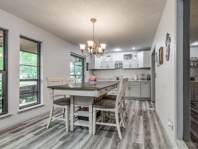 25206 E 64th St, Broken Arrow, OK 74012 - dining room with light wood-style floors, a chandelier, a textured ceiling, and healthy amount of natural light