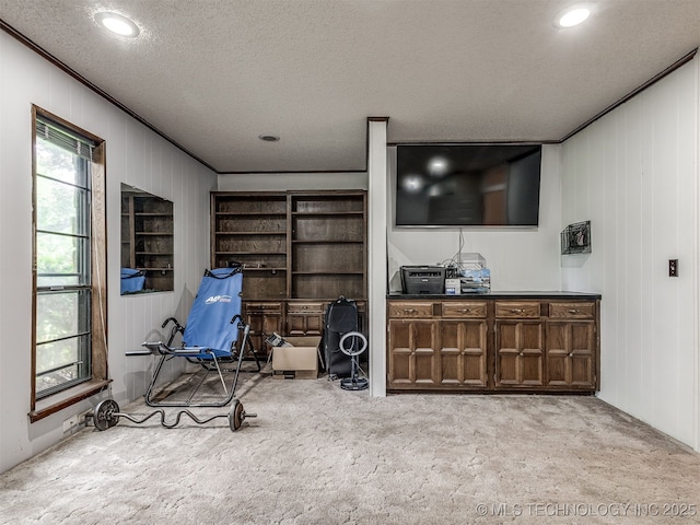 25206 E 64th St, Broken Arrow, OK 74012 - sitting room with carpet, crown molding, a textured ceiling, and recessed lighting