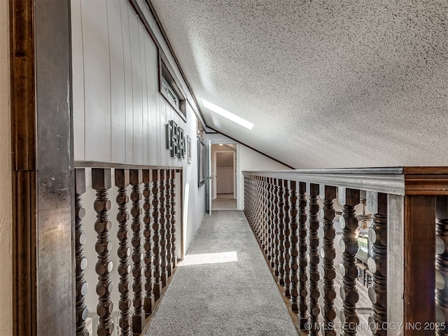 25206 E 64th St, Broken Arrow, OK 74012 - hall featuring lofted ceiling, a textured ceiling, carpet floors, and a skylight