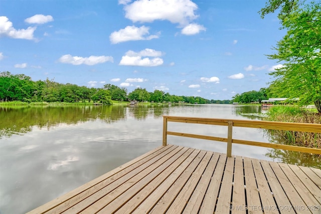 1205 Lakeside Dr, Fort Towson, OK 74735 - photo 30
