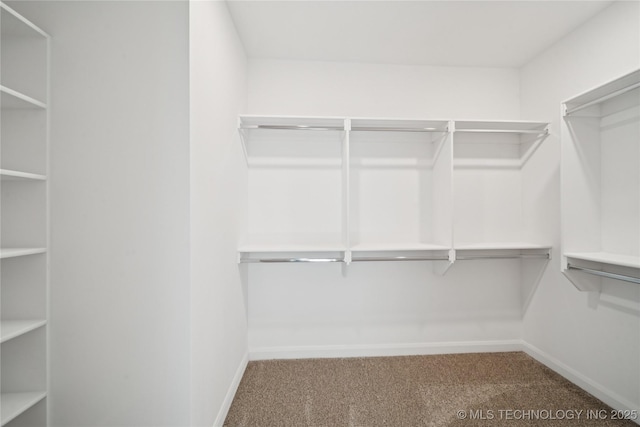 2410 W Charleston St, Broken Arrow, OK 74011 - spacious closet with carpet floors