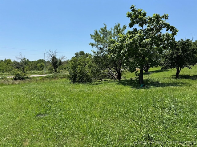 1010 E Jefferson Dr, Mcalester, OK 74501 - view of yard