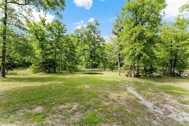 8562 Adams Creek Rd, Beggs, OK 74421 - view of green lawn with a trampoline
