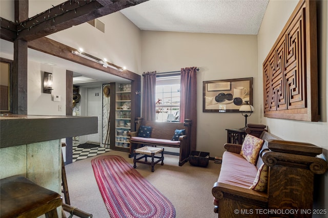 168 Murray Ln, Strang, OK 74367 - carpeted living area featuring a textured ceiling