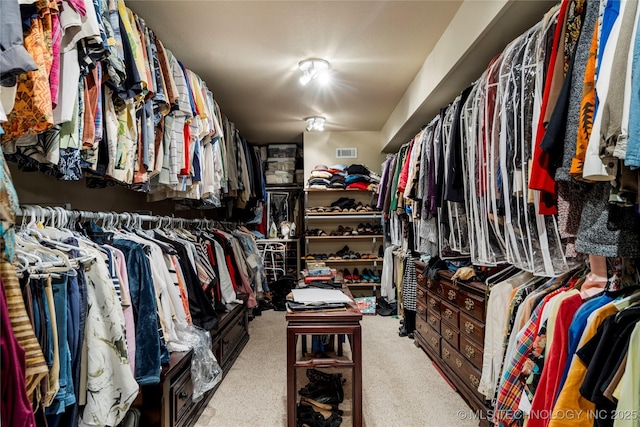 168 Murray Ln, Strang, OK 74367 - spacious closet with carpet floors