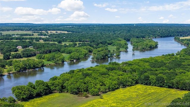 168 Murray Ln, Strang, OK 74367 - drone / aerial view of a large body of water and a forest