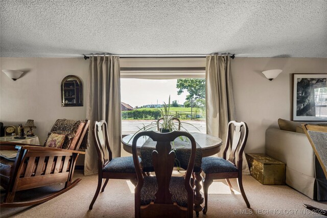 168 Murray Ln, Strang, OK 74367 - dining room featuring a textured ceiling and light carpet
