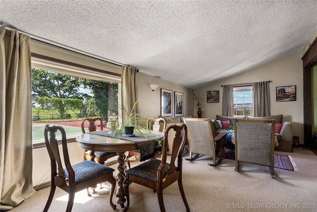 168 Murray Ln, Strang, OK 74367 - dining area featuring vaulted ceiling, a textured ceiling, and light colored carpet