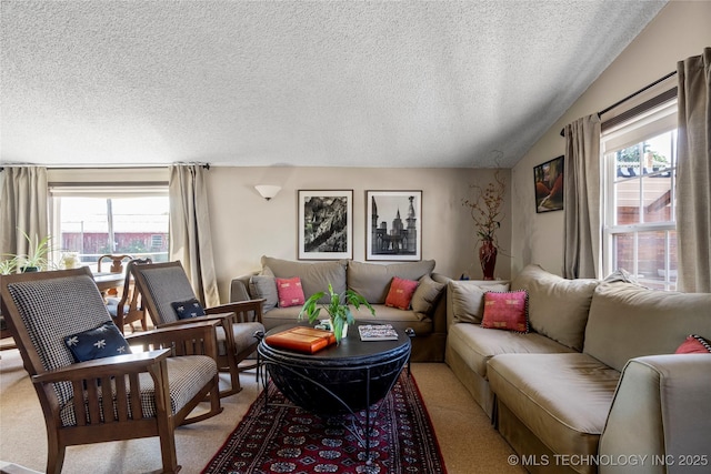 168 Murray Ln, Strang, OK 74367 - living area with plenty of natural light, a textured ceiling, and light colored carpet