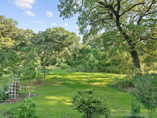 145 Cross Crk, Lone Grove, OK 73401 - photo 62