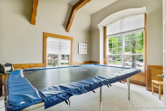 8811 E 110th St S, Bixby, OK 74133 - playroom featuring a wainscoted wall, wooden walls, and carpet flooring